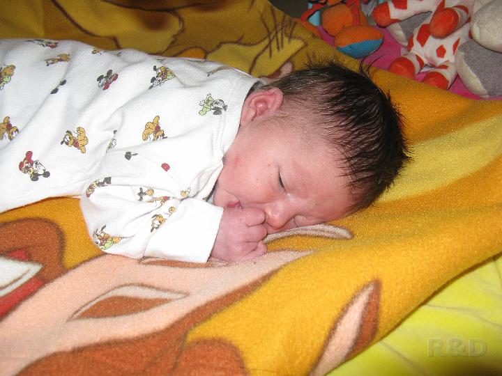 Yente 5 maart 2009 (8).JPG